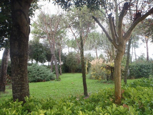 Airone Pisa Park Hotel image 6