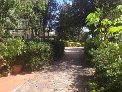 Airone Pisa Park Hotel image 7