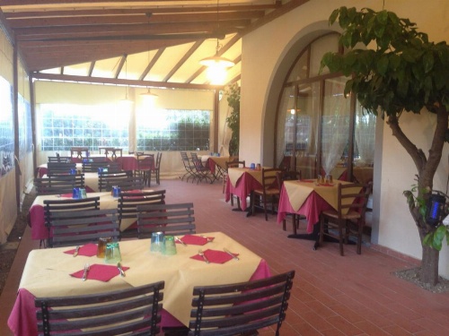 Airone Pisa Park Hotel image 9